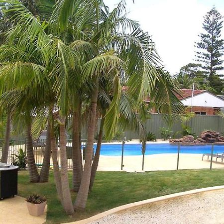 Koala Tree Motel Port Macquarie Esterno foto