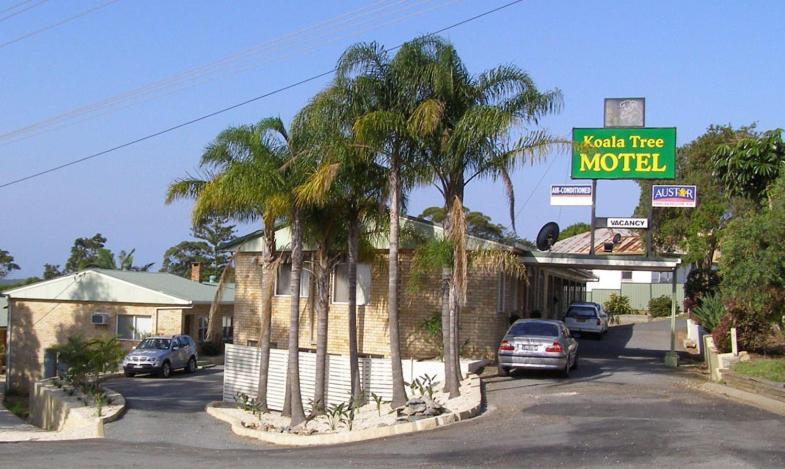 Koala Tree Motel Port Macquarie Esterno foto