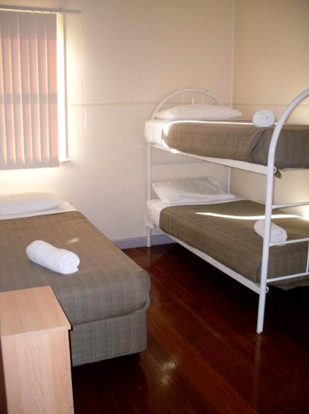 Koala Tree Motel Port Macquarie Camera foto