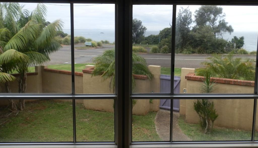 Koala Tree Motel Port Macquarie Camera foto