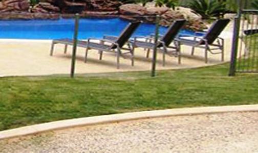 Koala Tree Motel Port Macquarie Esterno foto